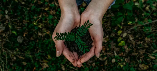 noah-buscher-x8ZStukS2PM-unsplash