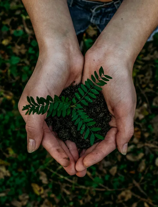 noah-buscher-x8ZStukS2PM-unsplash