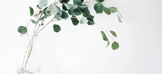 jazmin-quaynor-8ioenvmof-I-unsplash