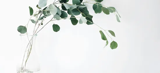 jazmin-quaynor-8ioenvmof-I-unsplash