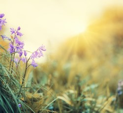 johannes-plenio-TeucWzHYUYk-unsplash