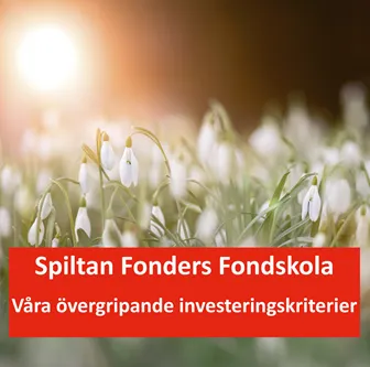 Investeringskriterier