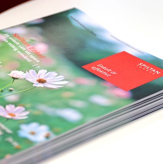 IMG_3722xy sRGB 3272x3305