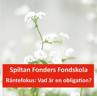 Vad är en obligation