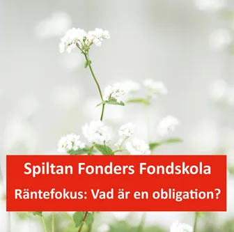 Vad är en obligation