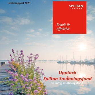 Framsida till nyhet på hemsidan