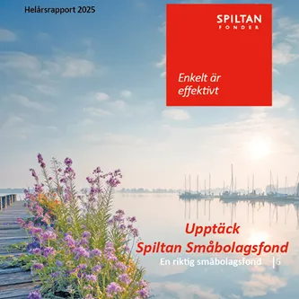 Framsida till nyhet på hemsidan