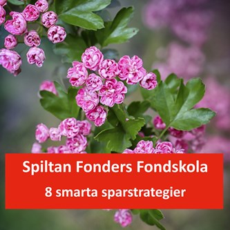 8 smarta sparstrategier x 3299x3272