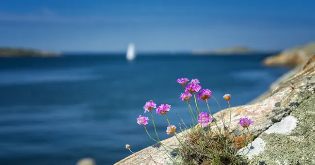 iStock-498974970