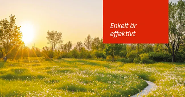 Framsida nyhet