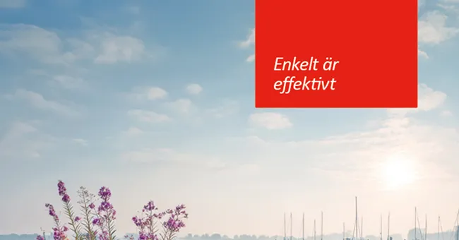 Framsida till nyhet på hemsidan