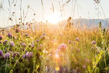 valeri-terziyski-qNvQPhS3eBU-unsplash