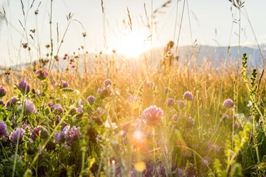 valeri-terziyski-qNvQPhS3eBU-unsplash