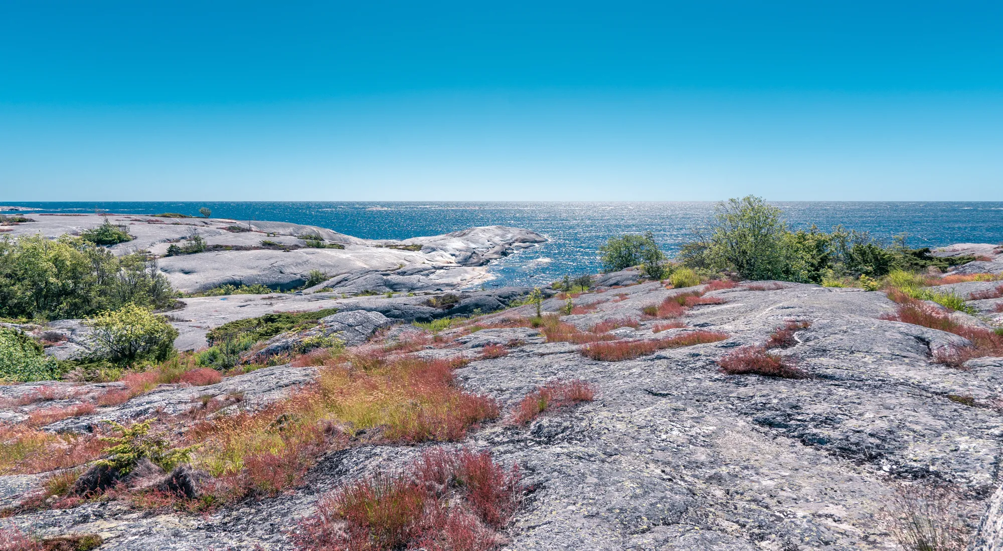 klippa glittrigt hav