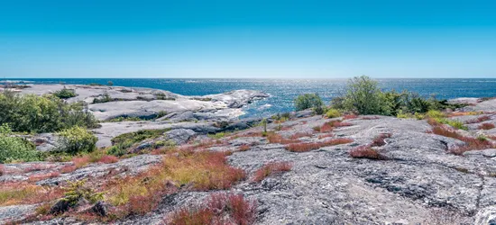 klippa glittrigt hav