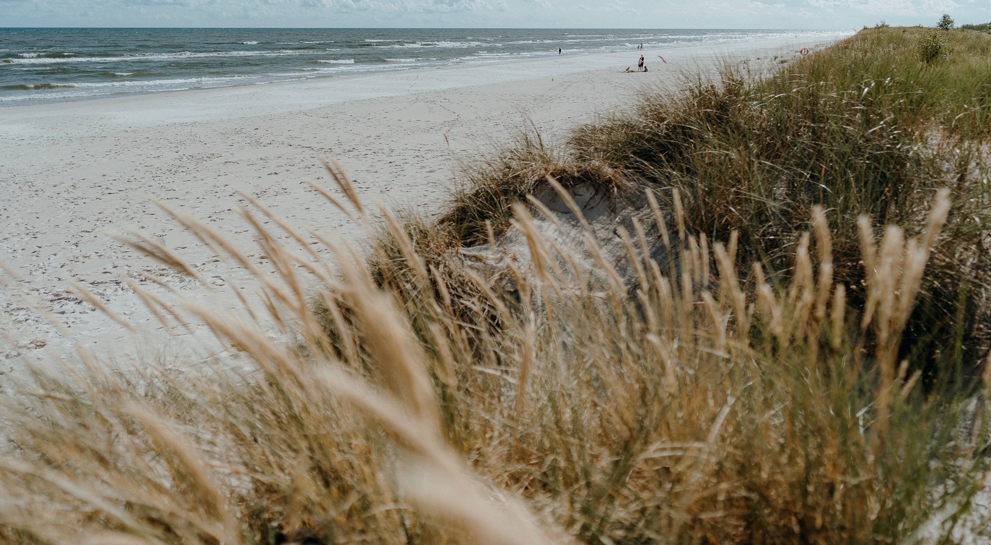 strand